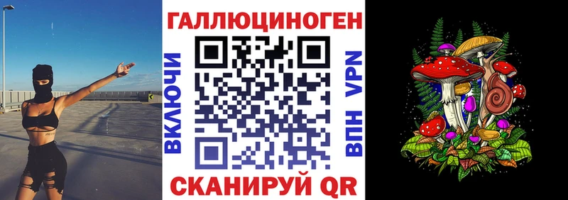 как найти закладки  Туран  Псилоцибиновые грибы мицелий 